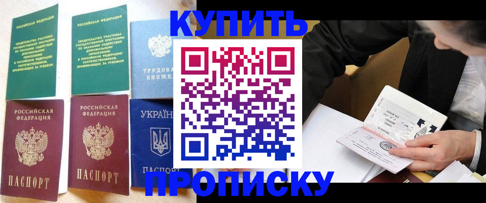 прописка для школы в Мурино